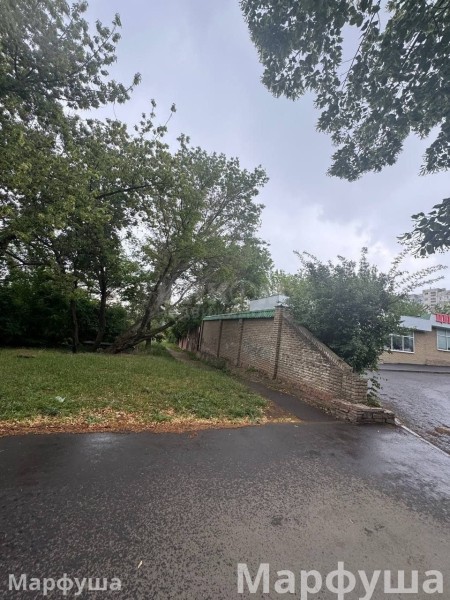 Фото Продам участок 10 соток приват в центре города Луганск