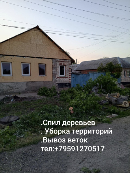 Спил деревьев ,расчистка участков вывоз , мусора