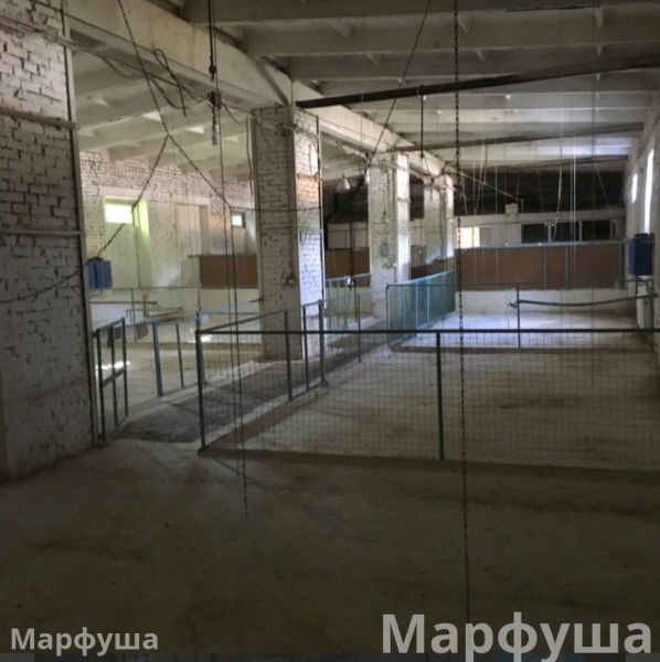 Продам помещение 330м2 в городе Луганск пгт Александровск