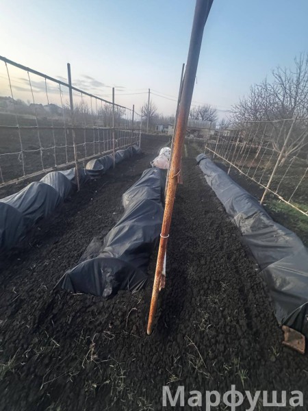 Фото Продам земельный участок с домостроением