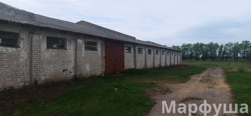 Фото Продам зернохранилище