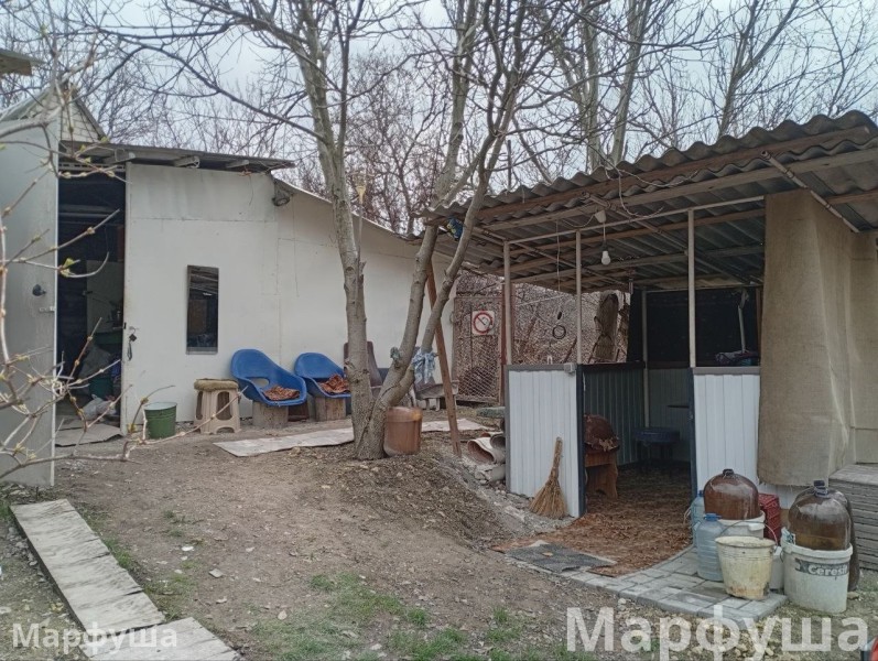 Фото Продам дачный участок 5.14 соток в городе Луганск поселок Веселенькое