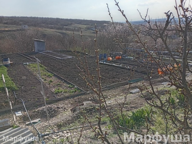 Фото Продам дачный участок 5.14 соток в городе Луганск поселок Веселенькое