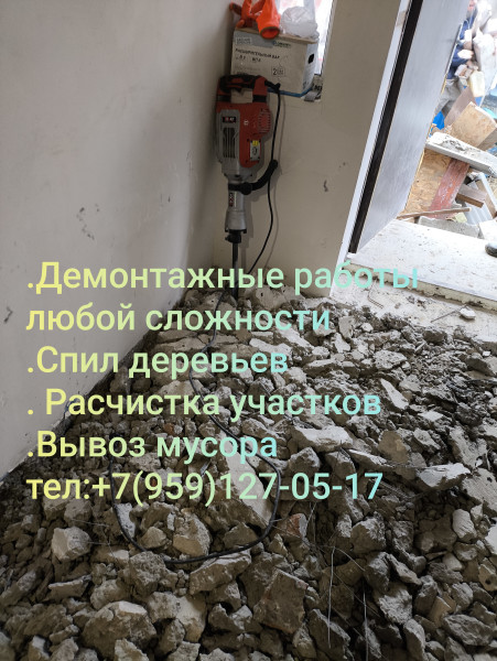 Спил деревьев,веток, уборка территорий ,вывоз мусора, демонтаж
