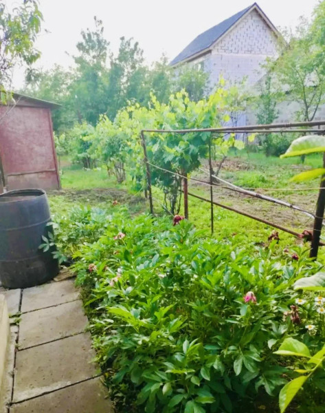 Фото Продам дом + флигель! (р-н Щербакова, за 3-й гор. больницей).