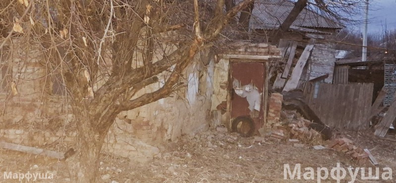 Фото Недорого!!!.Продам 4-сотки не приват земли,земельный участок огороженный забором,низ Камброда переулок Добролюбова