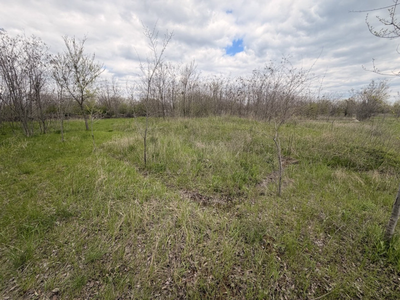 Фото Продам участок на п. Видный (ул. Солнечная)