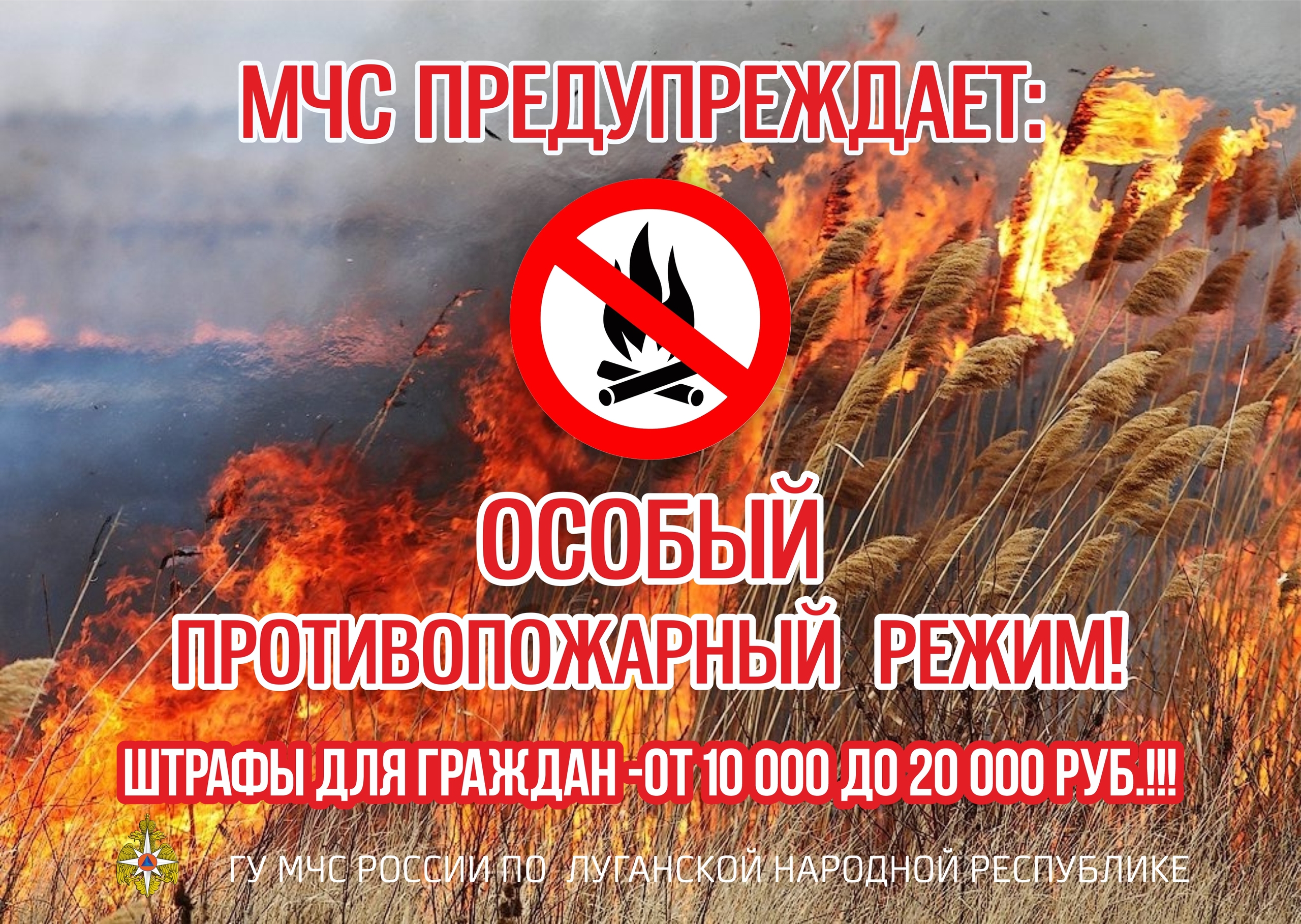 В ЛНР с 1 апреля вводится особый противопожарный режим: запрещены костры и штрафы до 800 тыс. рублей