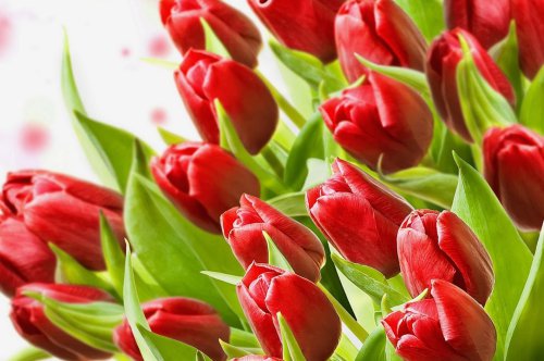 Дорогие женщины с праздником 8 марта