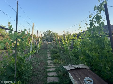 Продам дом в городе Луганск поселок Николаевка 7