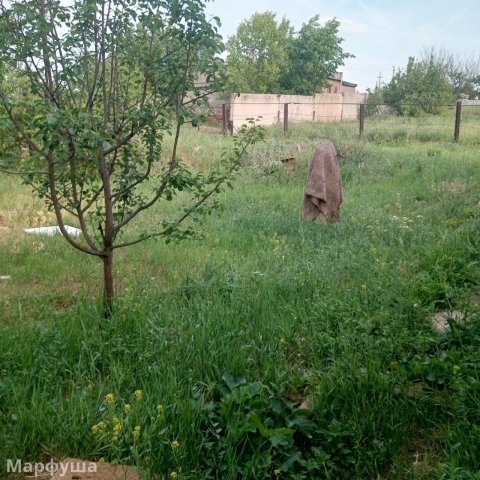 продам дом в г. Лутугино