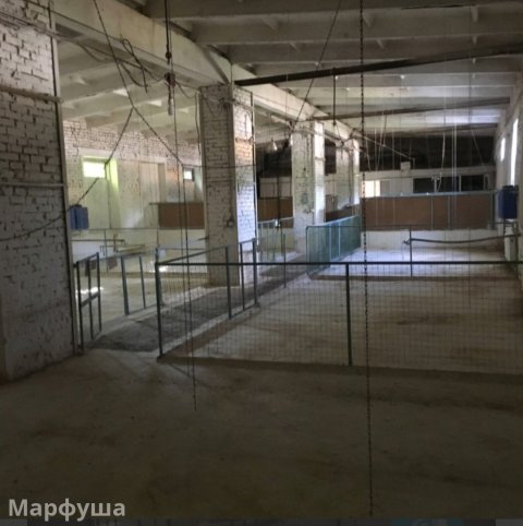 Продам помещение 330м2 в городе Луганск пгт Александровск