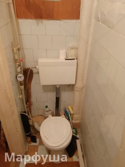 Полугостинка