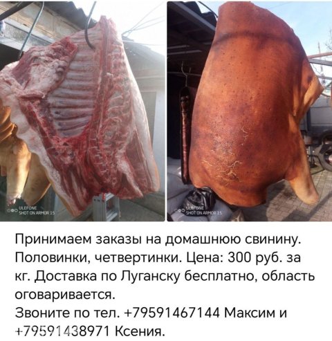 Домашняя свинина