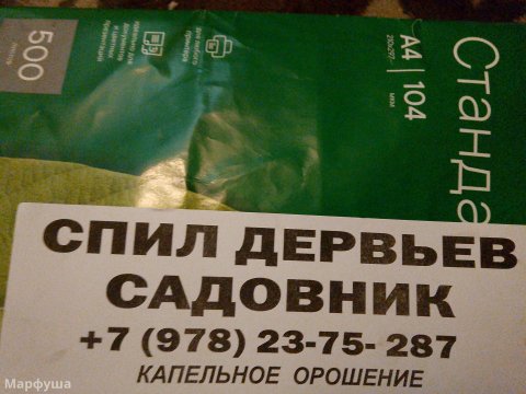 Садовник, спил деревьев, обрезка деревьев