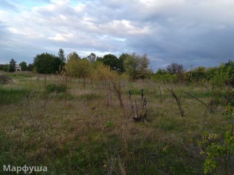 Продаётся плодородный земельный участок с домом в Райгородке