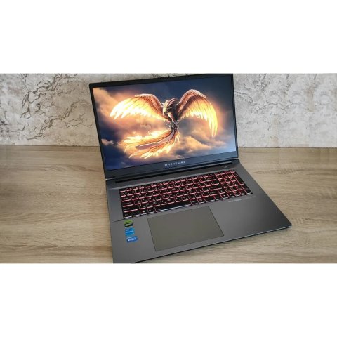 Machenike L17 Star 17.3" IPS QHD (2560x1440) 165Hz Intel Core i5 13500H/16Gb/SSD512Gb/nVidia GeForceRTX4060