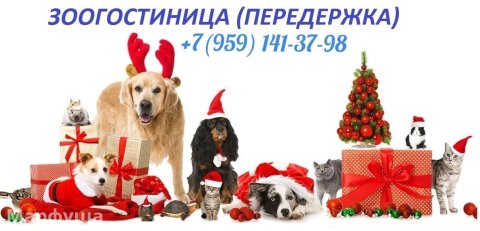 Предлагаем ЗООГОСТИНИЦУ (передержку) для любых домашних животных.