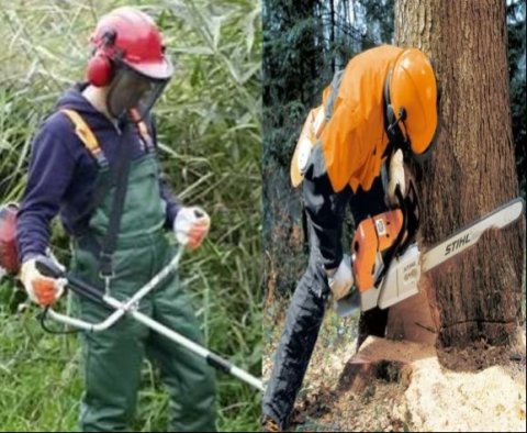 Покос травы спил деревьев