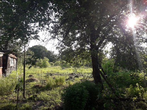 Продам дом с флигелем в р-н Атриума , для проживания 2х семей.