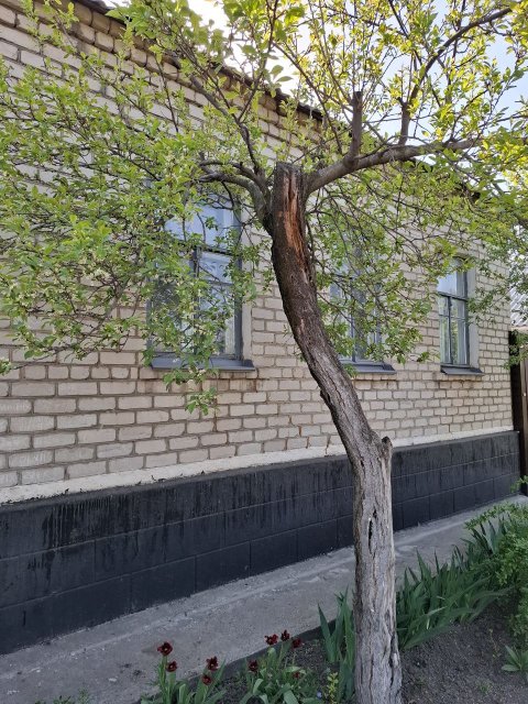 Продам дом с флигелем в р-н 27 школы  , для проживания 2х семей. 10