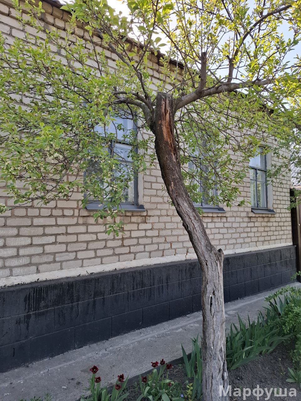 Продам дом с флигелем в р-н 27 школы  , для проживания 2х семей.