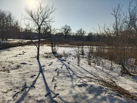 Продам дом в Зимогорье!!!