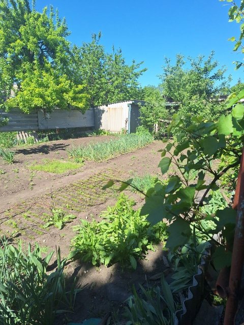 Продам дом в городе Луганск улица Веденина 5