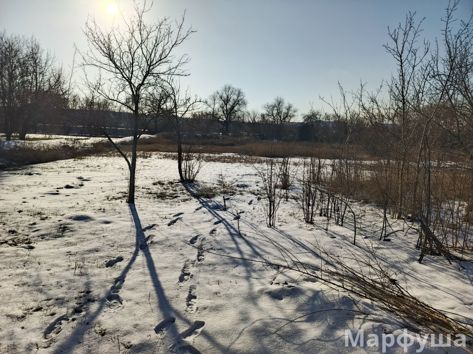 Продам дом в Зимогорье!!!