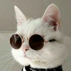 Евгений Луганский